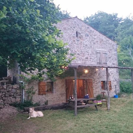 Tournemire  Maison De Vignes De Tournemire מראה חיצוני תמונה