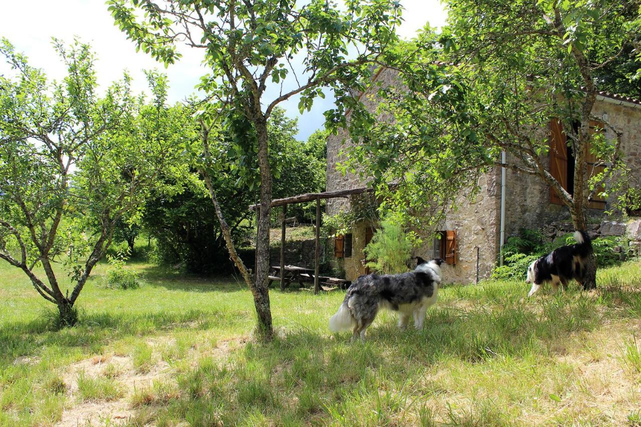 Tournemire  Maison De Vignes De Tournemire מראה חיצוני תמונה