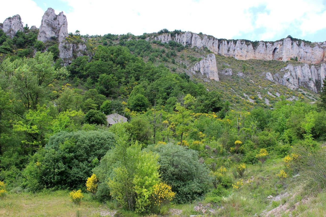 Tournemire  Maison De Vignes De Tournemire מראה חיצוני תמונה