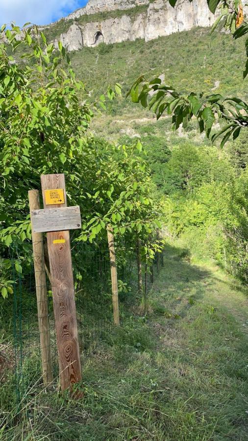 Tournemire  Maison De Vignes De Tournemire מראה חיצוני תמונה